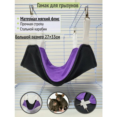 ���� ����� ��� �������� 