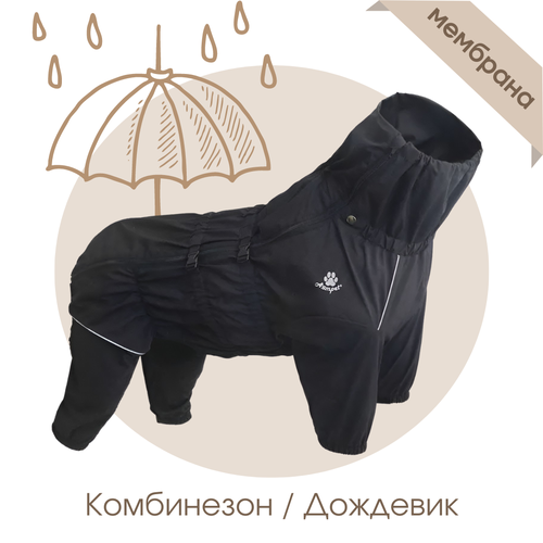      RAIN, - 4XL,    -     , -  