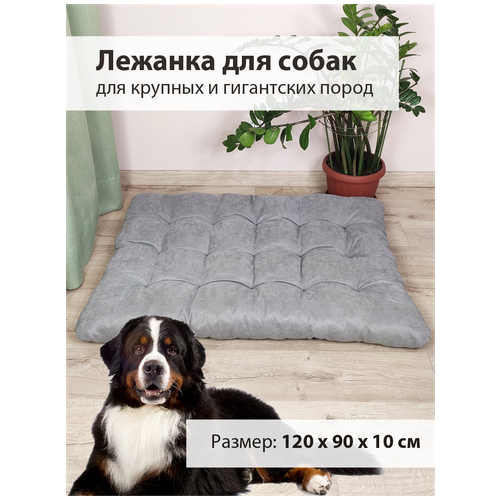 ���� ������� - ������ ��� ����� ������� � ������� ����� Graff (120 � 90 ��), ������ ������