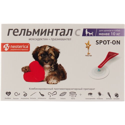 ���� ����������  ����� ���� �� �� ����� ��� ������ ����� ������ � ����� 2 ��. � ��., 1 ��., ������ ������