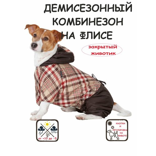 ���� ���������� ��� ����� 