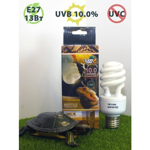    UVB 10.0% - 13W   LuckyHerp.  27   -     , -  