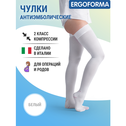 ���� ����� �������������� Ergoforma 2 ����� ����������, ������ 2, �����, ������ ������