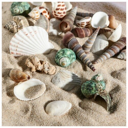 ���� ����� ������� 100 �, ���� �1 1002240, ������ ������