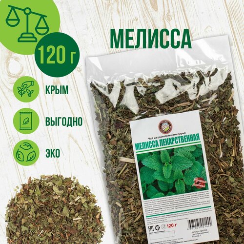 ���� ������� �������, 120�, ������ ������