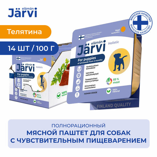  Jarvi          2-  100 .  14    -     , -  