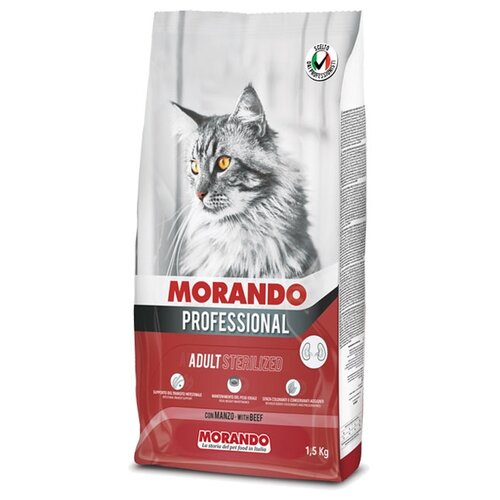  Morando Professional Gatto         - 12,5    -     , -,   