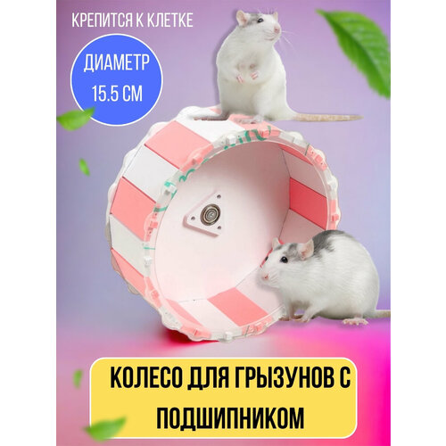 ���� ������ ��� ��������, �������, 15,5 ��, ������, ������ ������