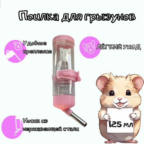 ���� ������ ��� �������� 