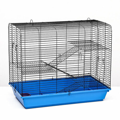 ���� ������ ��� �������� ������ 3, ������������, 79 � 44 � 65 ��, ����, ������ ������