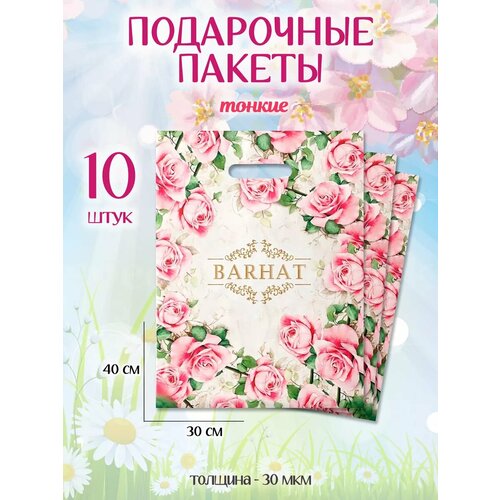 ���� ���������� ������ ����� ��������������, ������ ������