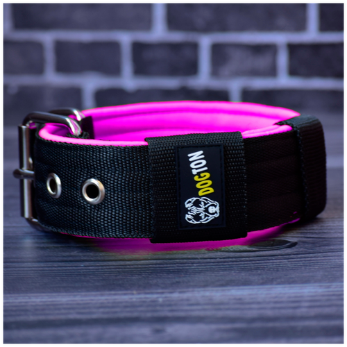 ���� ������� ��� ����� �������. ������ 5 ��. ������ ������. ������� ��������. ������� ���������. �� ������ 43-57, ������ ������