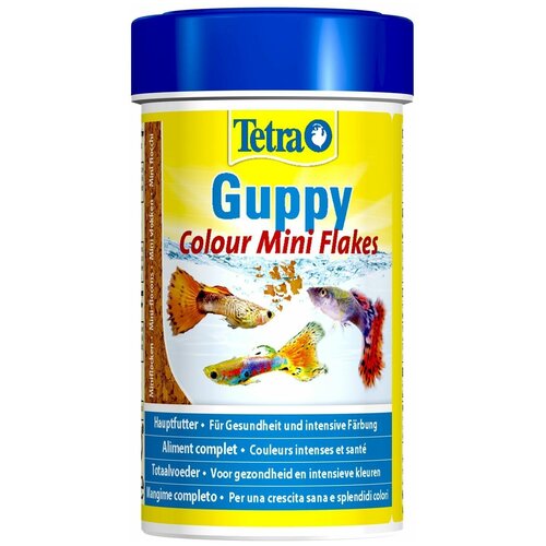        Tetra Guppy Colour 100    -     , -,   