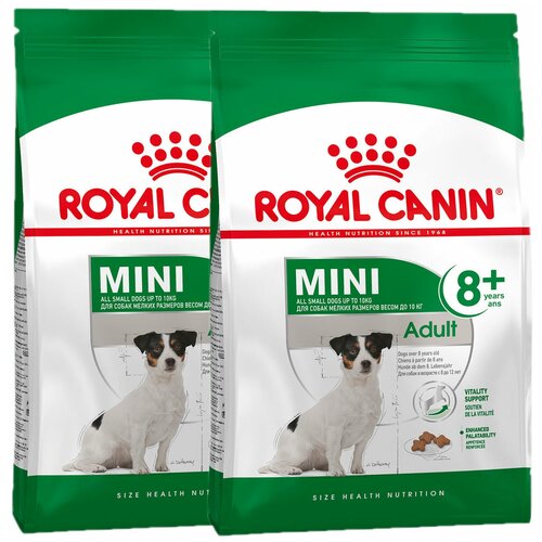  ROYAL CANIN MINI ADULT 8+       8  (4 + 4 ),  