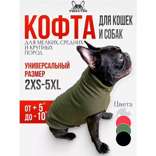 ���� ������-������� ��� �������, ������� � ����� ��������, ������ ������