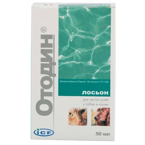 ���� ������ ������ ICF ������ ��� ������ ���� � ����� � ����� , 50 �� , 50 �, ������ ������