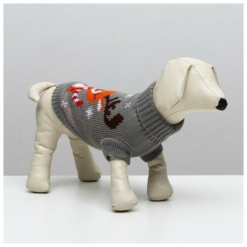 ���� ����� ������ 