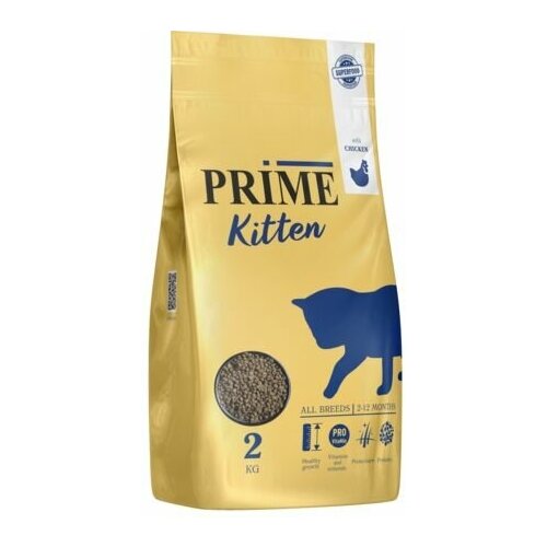  PRIME KITTEN       - 2 .   -     , -,   