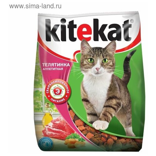    KiteKat 