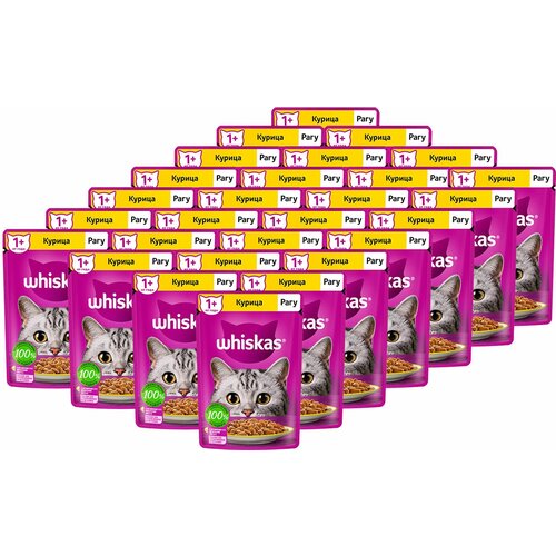  WHISKAS       (75   28 )   -     , -,   