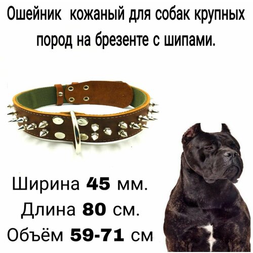 ���� ������� ��� ������� ����� ����� �� ����������� ���� � �������� � ������, ������ 45 ��, ����� 80 ��, ����� ��� 59-71 ��., ������ ������