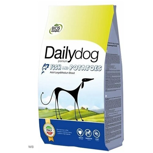      DailyDog ,   1 .  1 .  3000  (    )   -     , -  