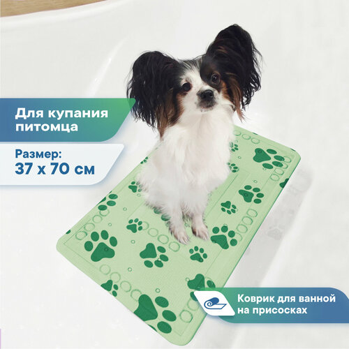 ���� ������ ��� �������� ��� ������ � ���������� 37�70 �� / ������ ��� ������� ����� � ����� ����� �����������, ������ ������