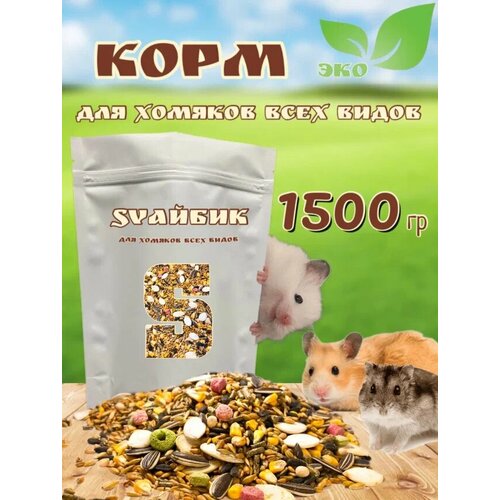 ���� ���� ��� ������� ���� ����� / 1500�� / 1.5��, ������ ������