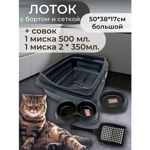 ���� ����� ����� � ������ � ������, � ������� � ������, ����� ��� �����, ������ ��� ����� ������� �����-�����������, ������ ������