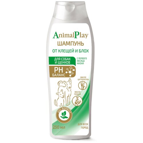    Animal Play               250