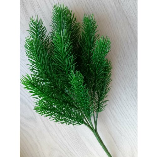 ���� ������������� ����� ��� ��� ���������, 36 ��. ���������� �����, ������ ������