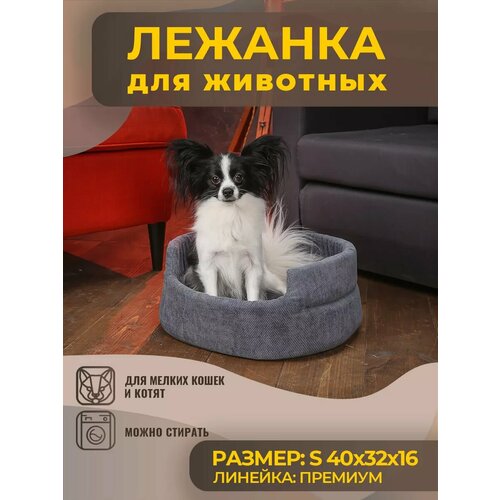 ���� ������� ��� ����� � ����� ������, �����, ������ ������