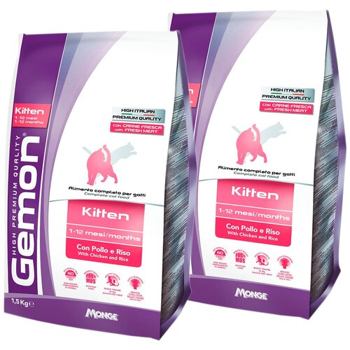  GEMON KITTEN       (1,5 + 1,5 )   -     , -,   