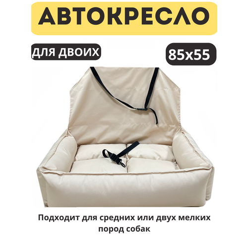 ���� ���������� ��� ��������� �������� ����� ������� ����� ��� ����� ����� ������ �����, ������ ������