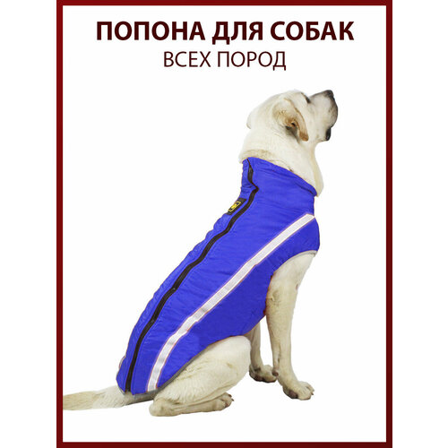 ���� ������ ��� ����� ���� �����, ������ 5XL, �����, ���������/����, ������ ������