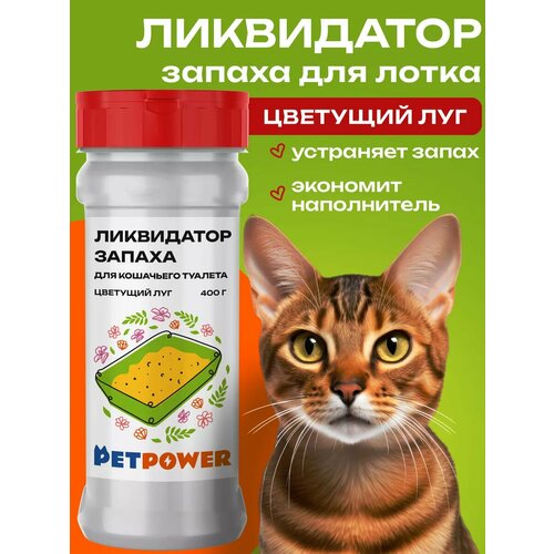 ���� ���������� ������ ��� ��������� �������, ������ ������