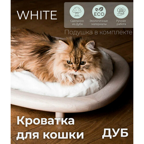 ���� ������� ��� ����� Purr Murr �� ����, ������ ������