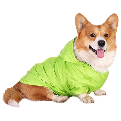 ���� �������� ��� ����� ���������� ����� ���������, M, ������ ������