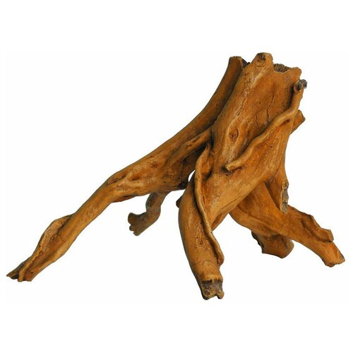 ���� ��������� ��� ����������� LUCKY REPTILE 