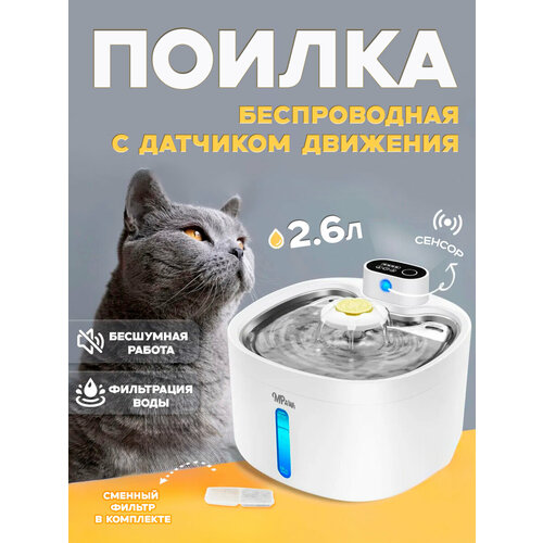 ���� �������������� ������ ��� ����� � �����, ������ ������