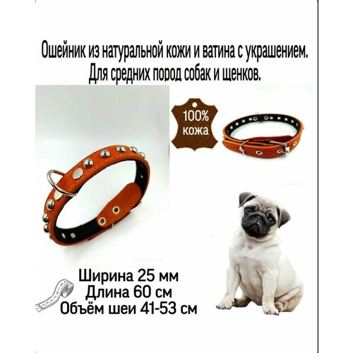 ���� ������� ������� ��� ����� � ����������, ������ ���� ����� 25�� *60��. ����� ��� 41-53 ��., ������ ������