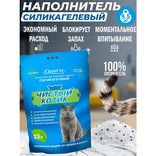 ���� ����������� ����������� ������ ����� ������� � ������ ���������, 25�, 1 ��., ������ ������