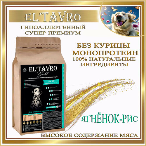    ELTAVRO ()       Gold     10//    -     , -  