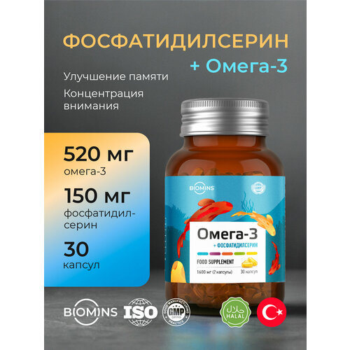 ���� ��������������� � �����-3, ��� ������ ����� � ��������� ������, 30 ������, ������ ������