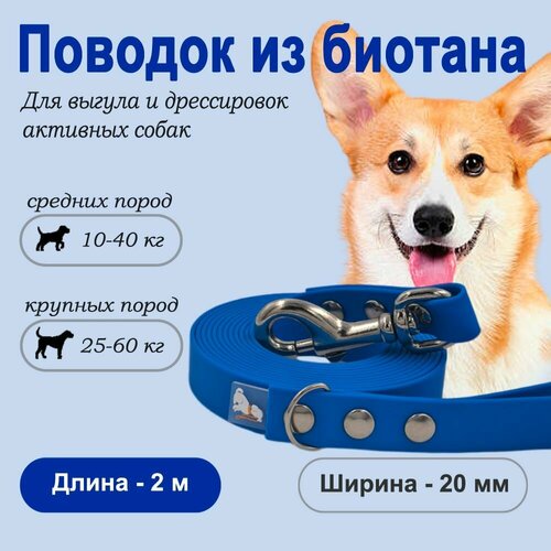 ���� ������� �� ������� 20 ��, ����� 2 �, �����, ������ ������