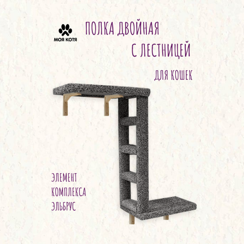 ���� ����� ������� � ��������� ��� ����� ��� ���� �������, ������ ������