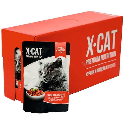  X-CAT       85  24  (2,04 )   -     , -,   