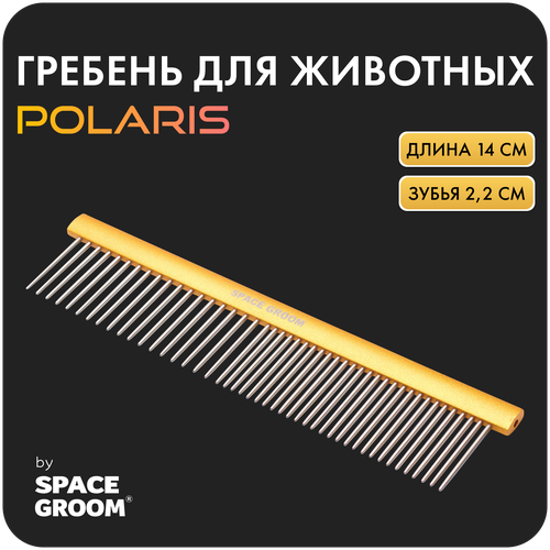       Polaris 14 ,       , Space Groom,   2,2    -     , -  