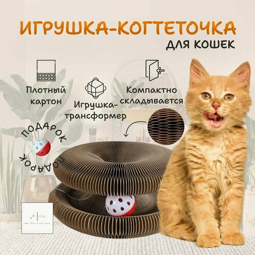     .      .     . Pet Toys With Love.   -     , -  