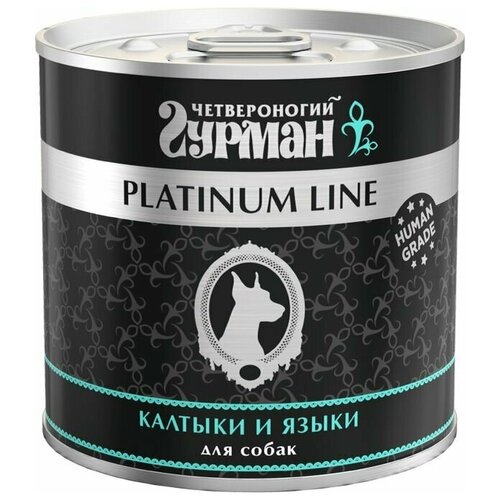        Platinum Line     , 6  240    -     , -,   